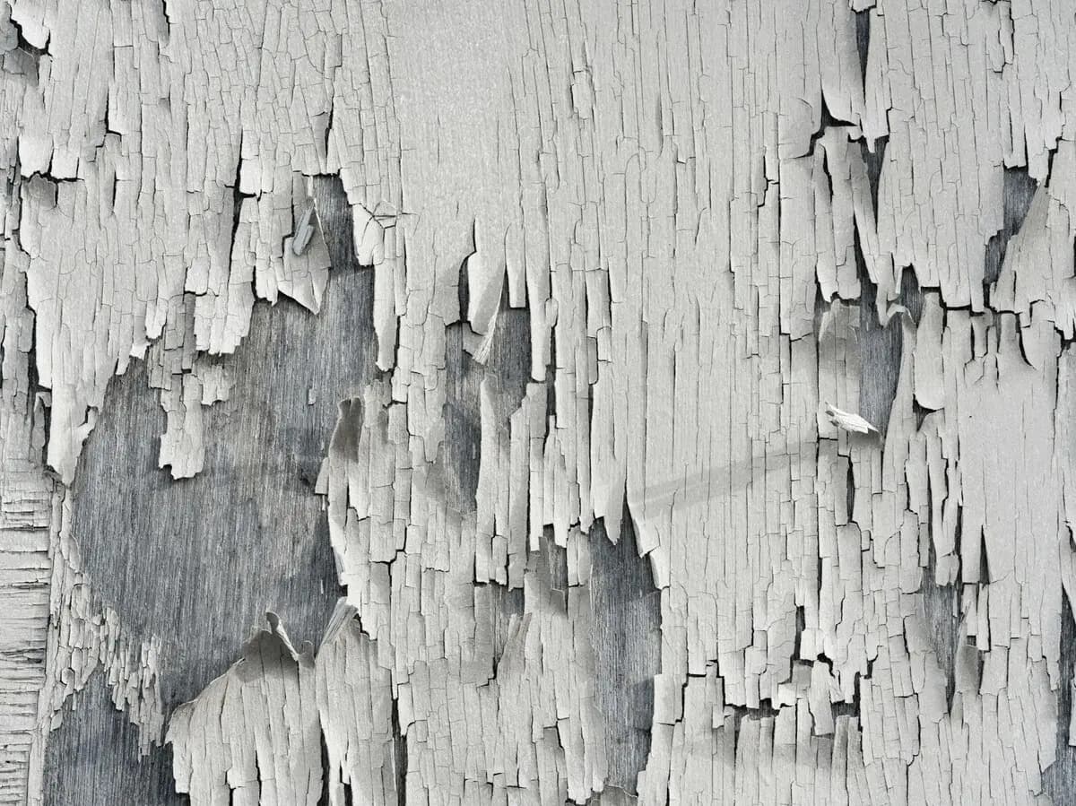 Layers of weathered paint peeling from an old wooden surface