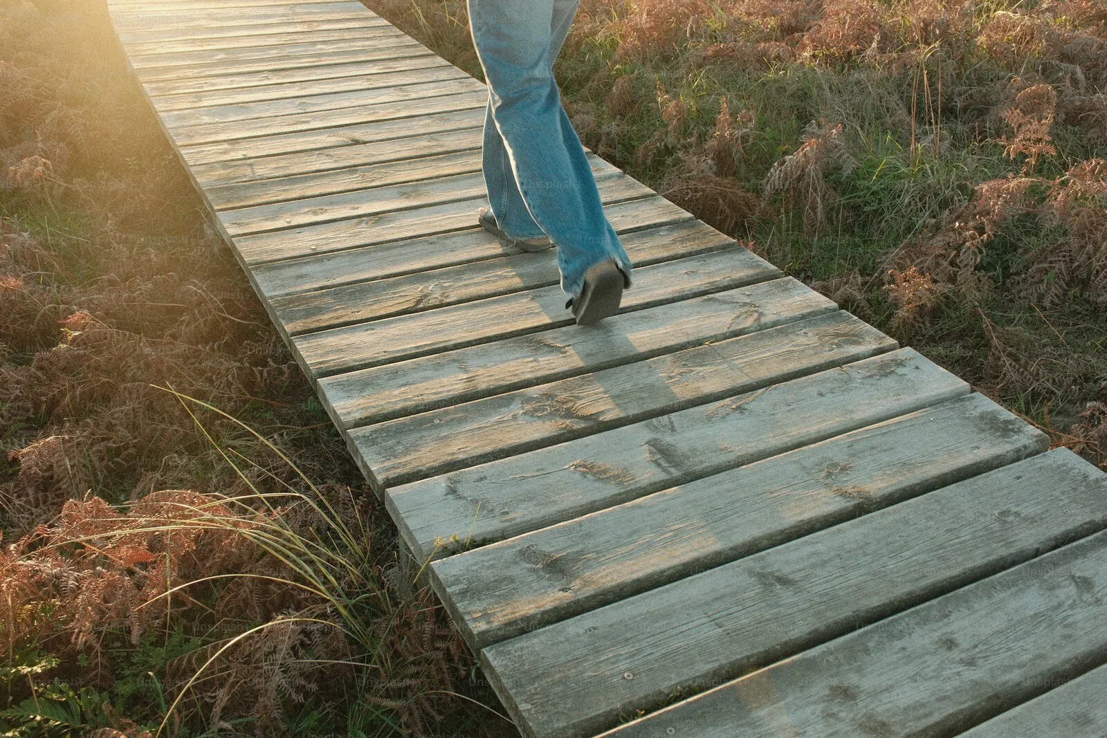 A boardwalk path leading forward in morning light