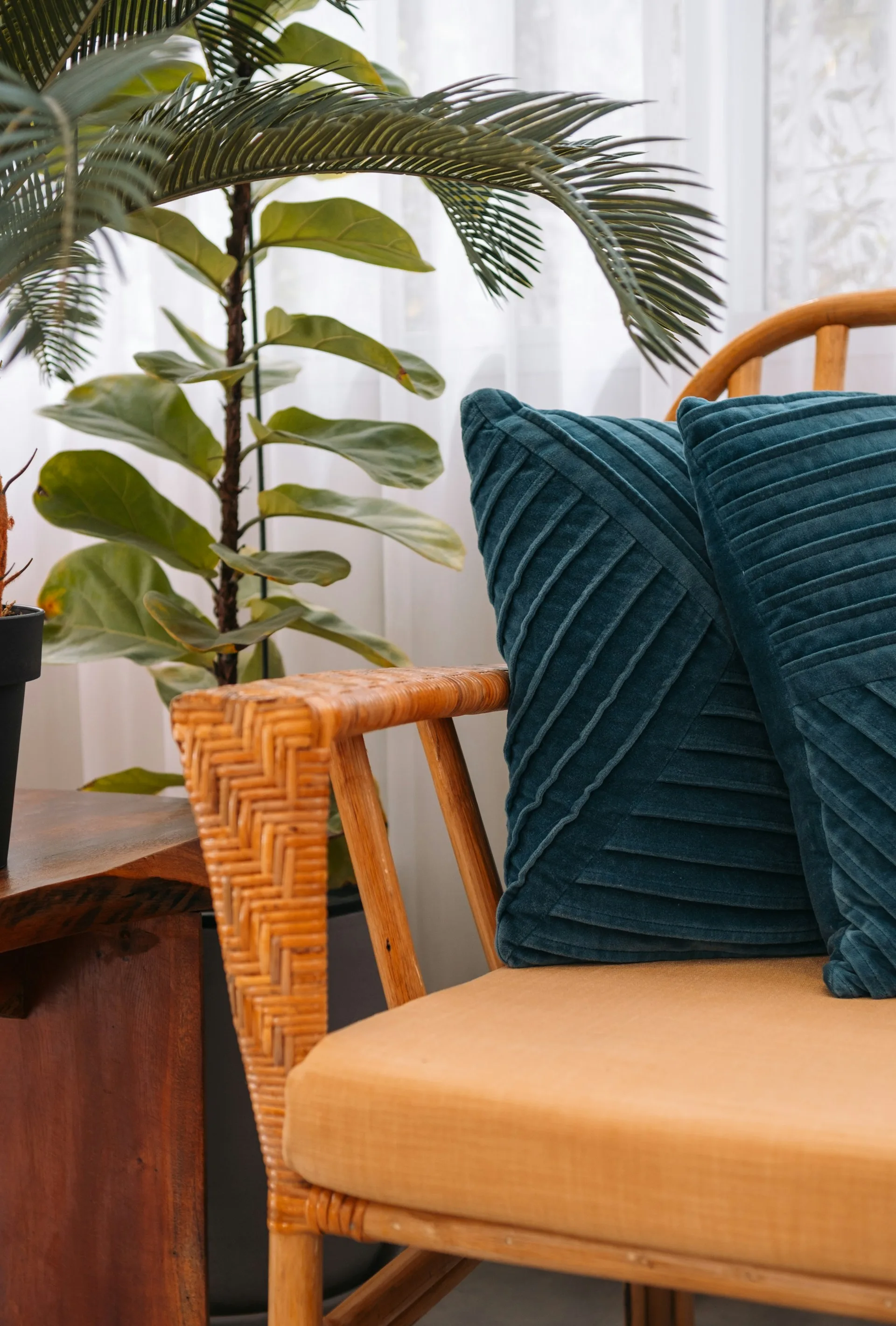 Two navy pillows on a tan wicker chair with a plant in the background